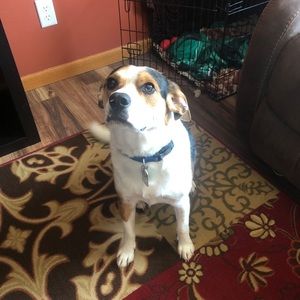 Meet your Posher, Ayla